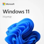 Windows 11