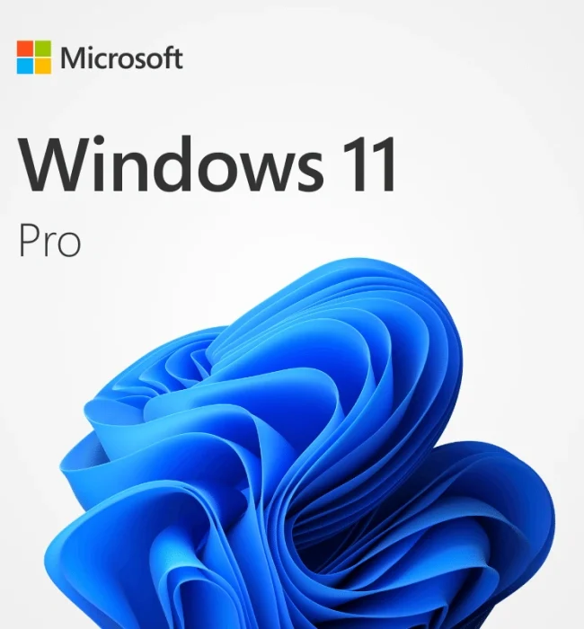 Windows 11 Pro